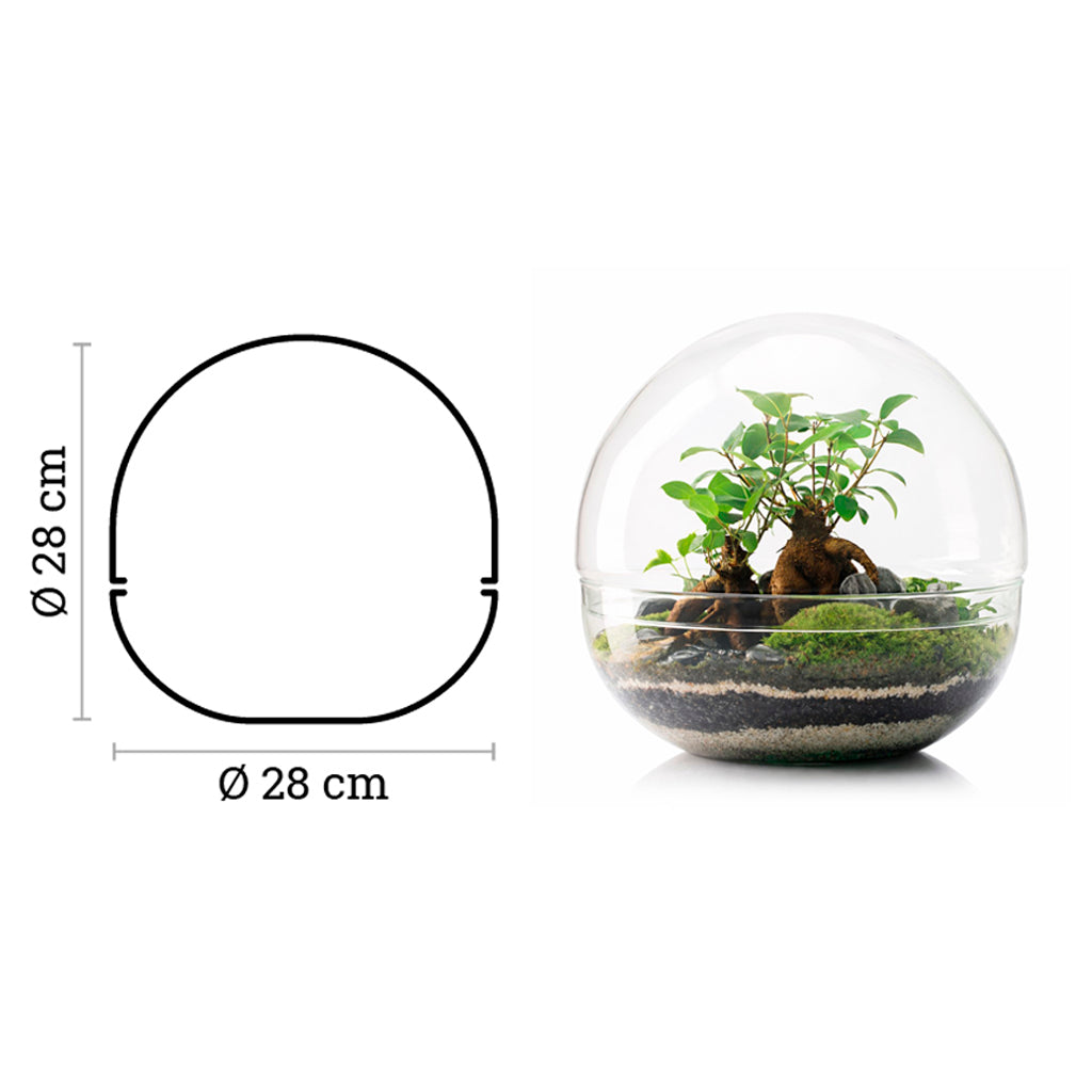 Terrario Borneo Terra 28x28 Cm_2