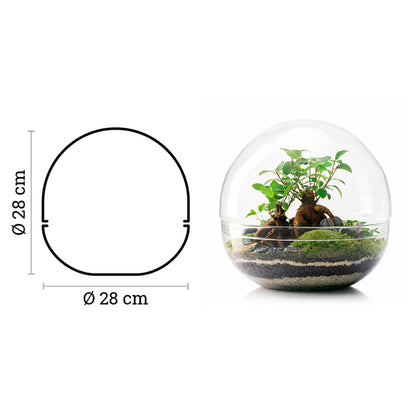 Terrario Borneo Terra 28x28 Cm_2
