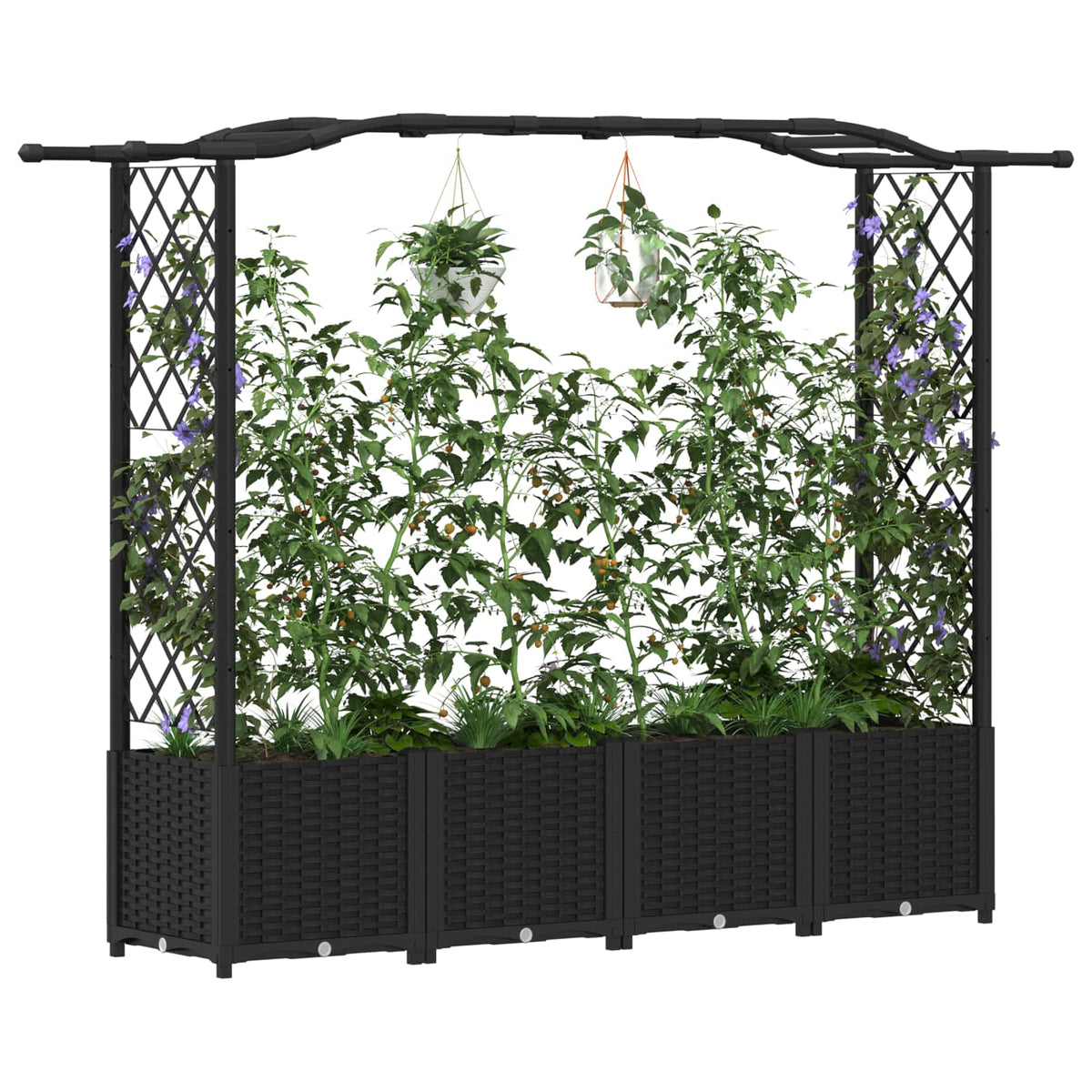 Cama Elevada Con Trellis Y Techo Negro 204 X 40 X 138 Cm Pp_2