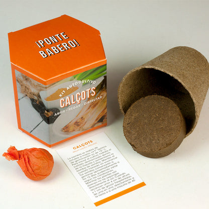 Kit Autocultivo Calçots | Cultiva Cebollas Tiernas Y Dulces En Casa_1