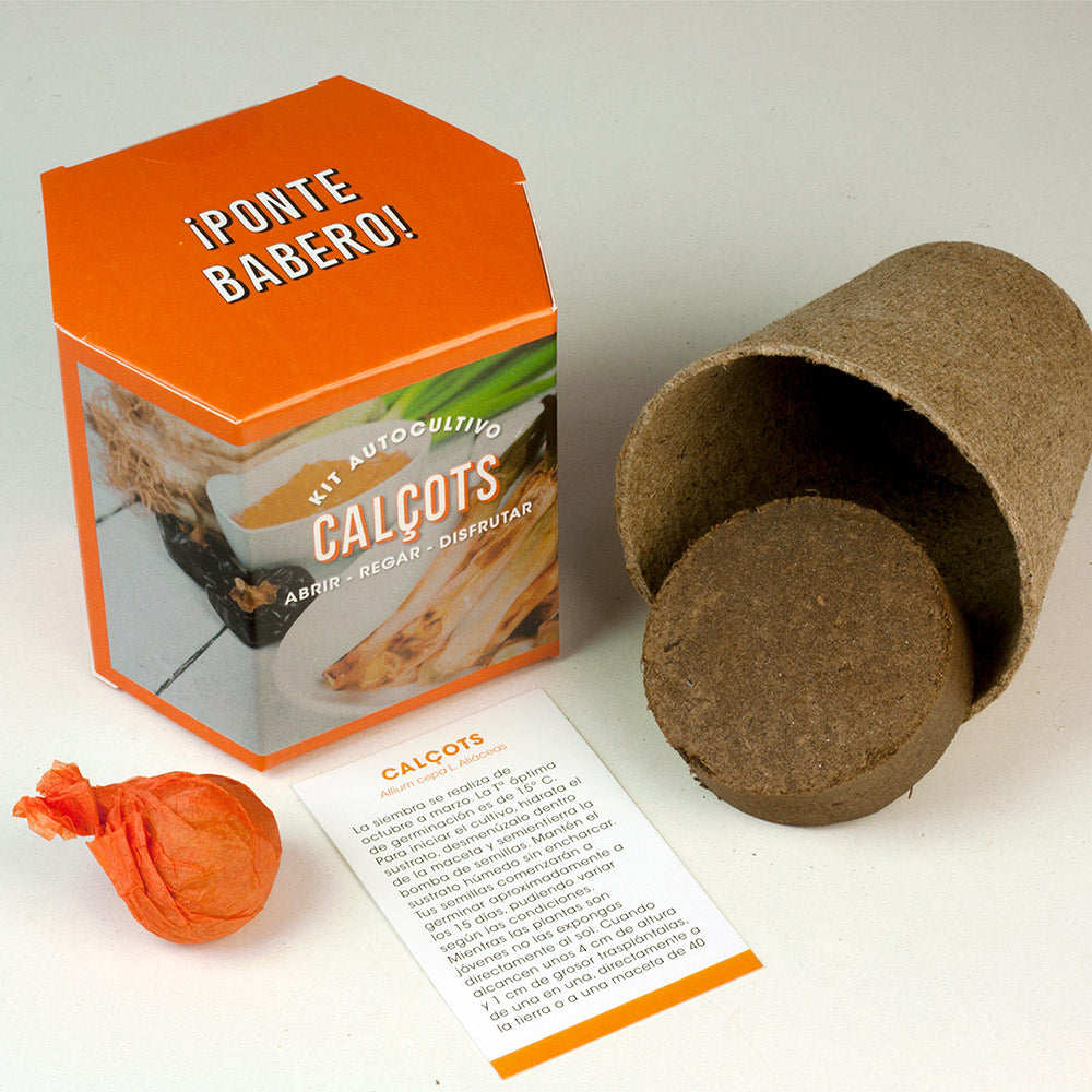 Kit Autocultivo Calçots Cultiva Cebollas Tiernas y Dulces en Casa - Resetea_1