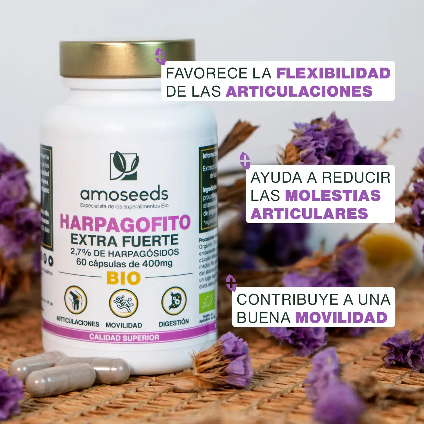Harpagofito Bio, Extra Fuerte | 60 Cápsulas_2
