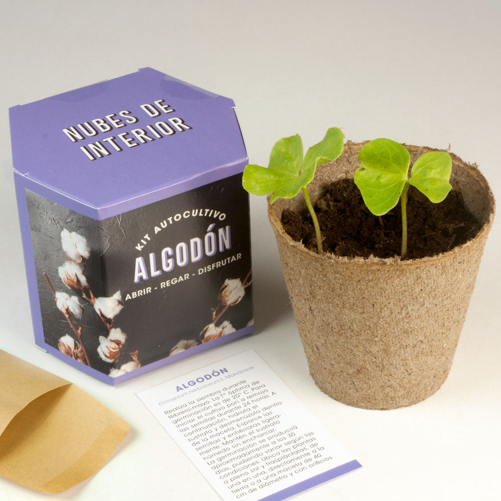 Kit Autocultivo de Algodón Cultiva tu Propia Planta en Casa | Regalo Original y Decorativo - Resetea_2