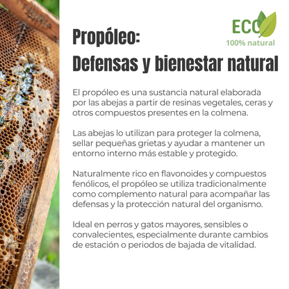 Suplemento natural para las defensas de perros y gatos – Propóleo ECO 100 g_2