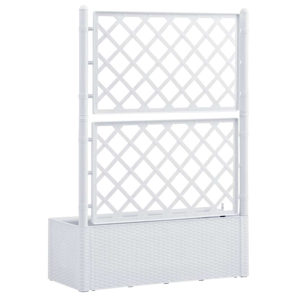 Arriate Con Enrejado Y Sistema De Riego Automático Blanco_4