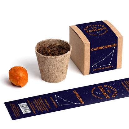 Cultivos del Zodiaco – Capricornio, Kit de Cultivo con Semillas de Rúcula - Resetea_2