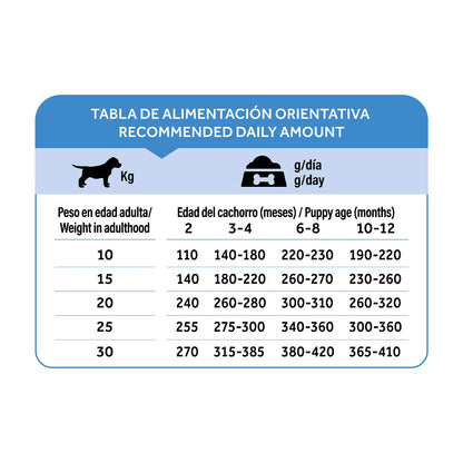 Dibaq Natural Moments 5 Star Pavo Y Pollo Cachorro Razas Medianas 12 Kg_5