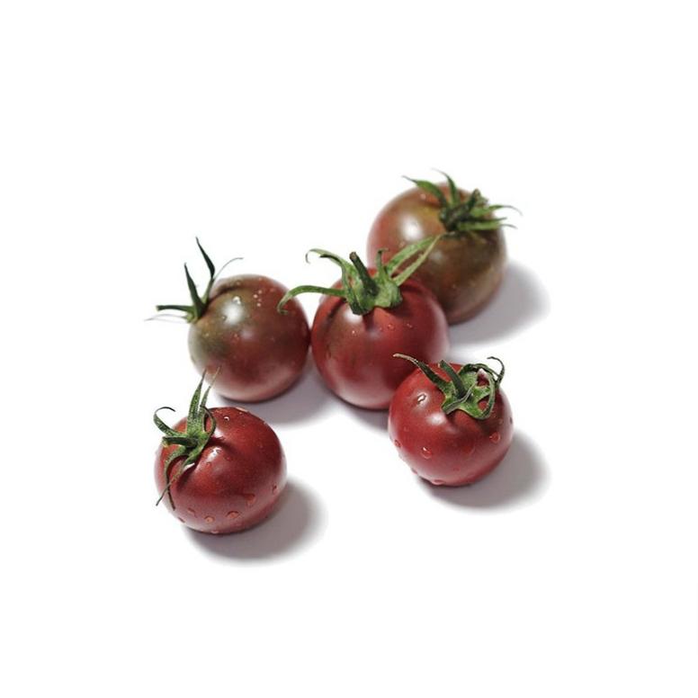 Plantón de Tomate Cherry Negro 6 uds. Gama Tradicional