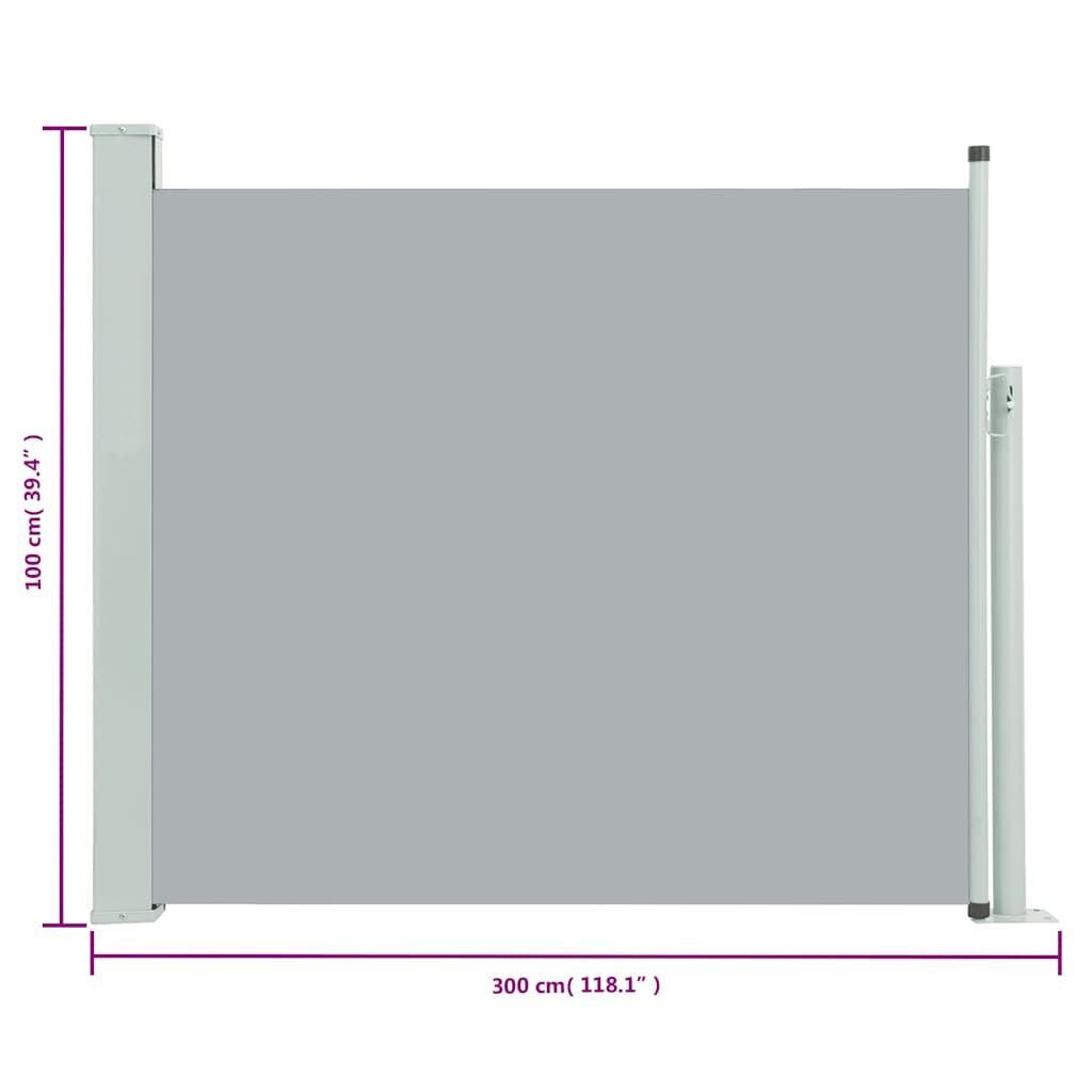 Vidaxl Toldo Lateral Retráctil De Jardín Gris 100x300 Cm_2