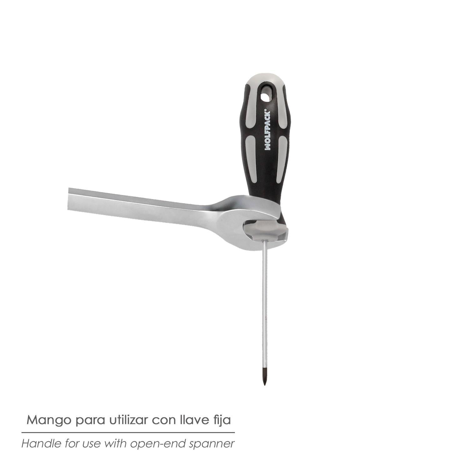 Destornillador Phillips Acero S2 Mango Tpr Bimaterial. Medida Ph 1 X Ø 5,0 X 100 Mm.  Din5262._2