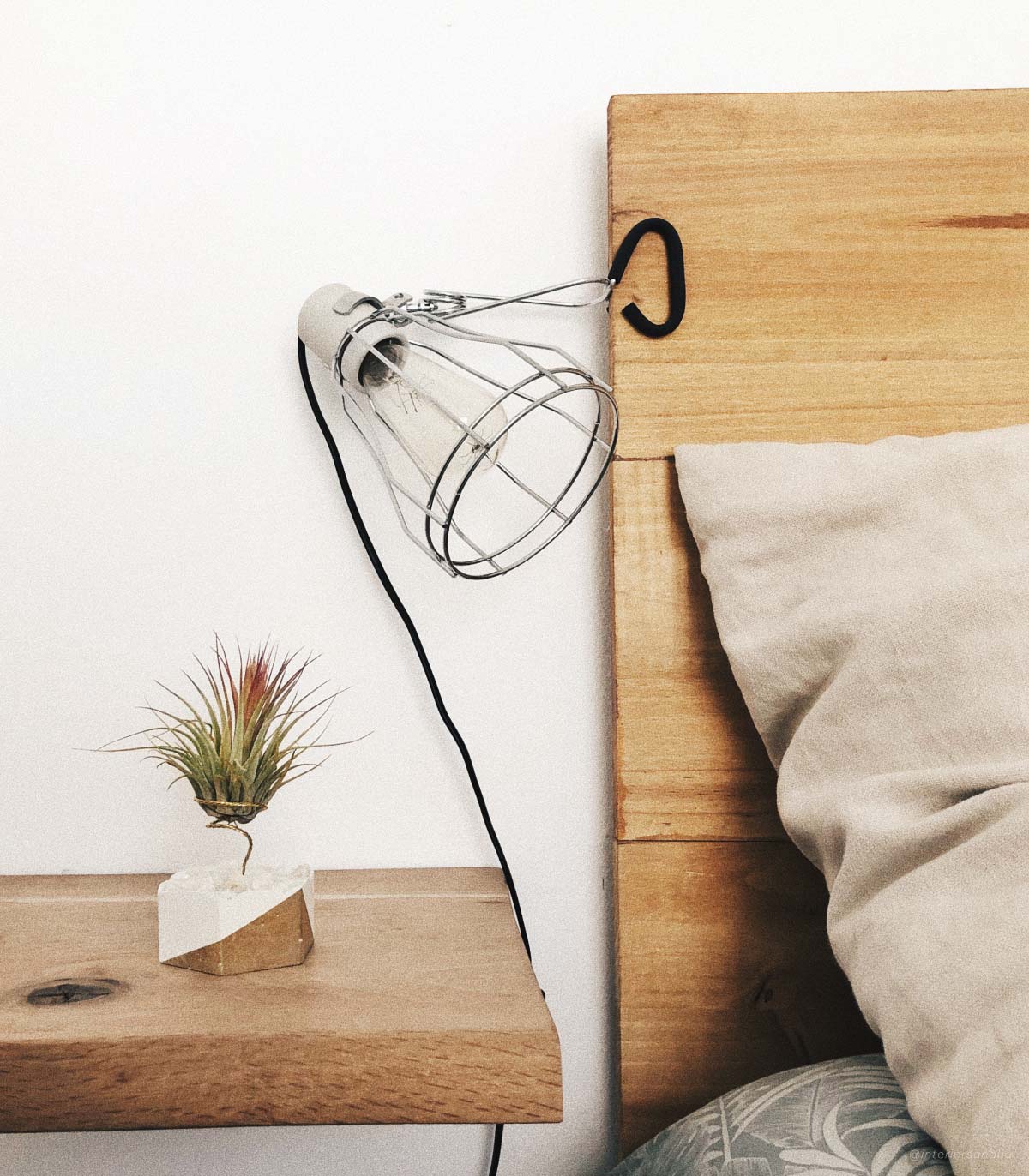 Planta De Aire Tillandsia Scaposa Con Hexágono De Cemento, Piedras Blancas Y Esquina Dorada_1