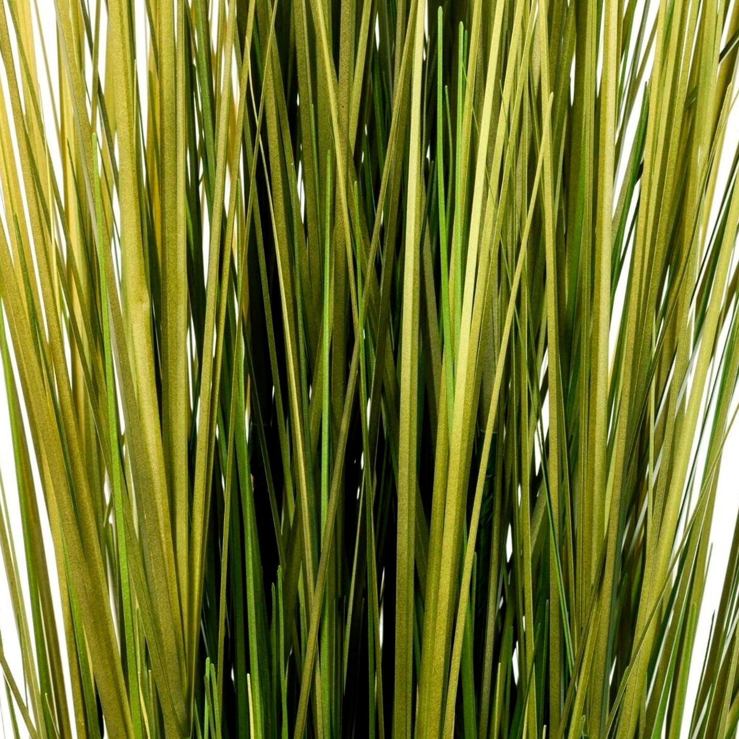 Paquete De Hierba D14xh100