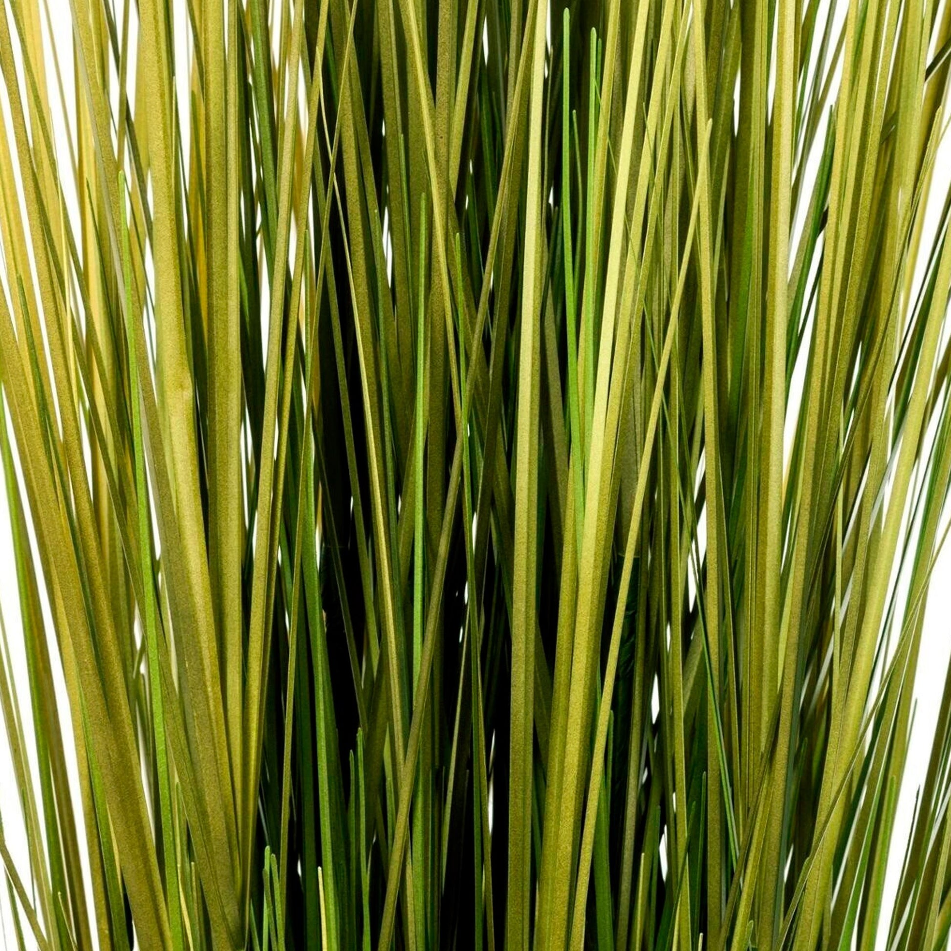 Paquete De Hierba D14xh100