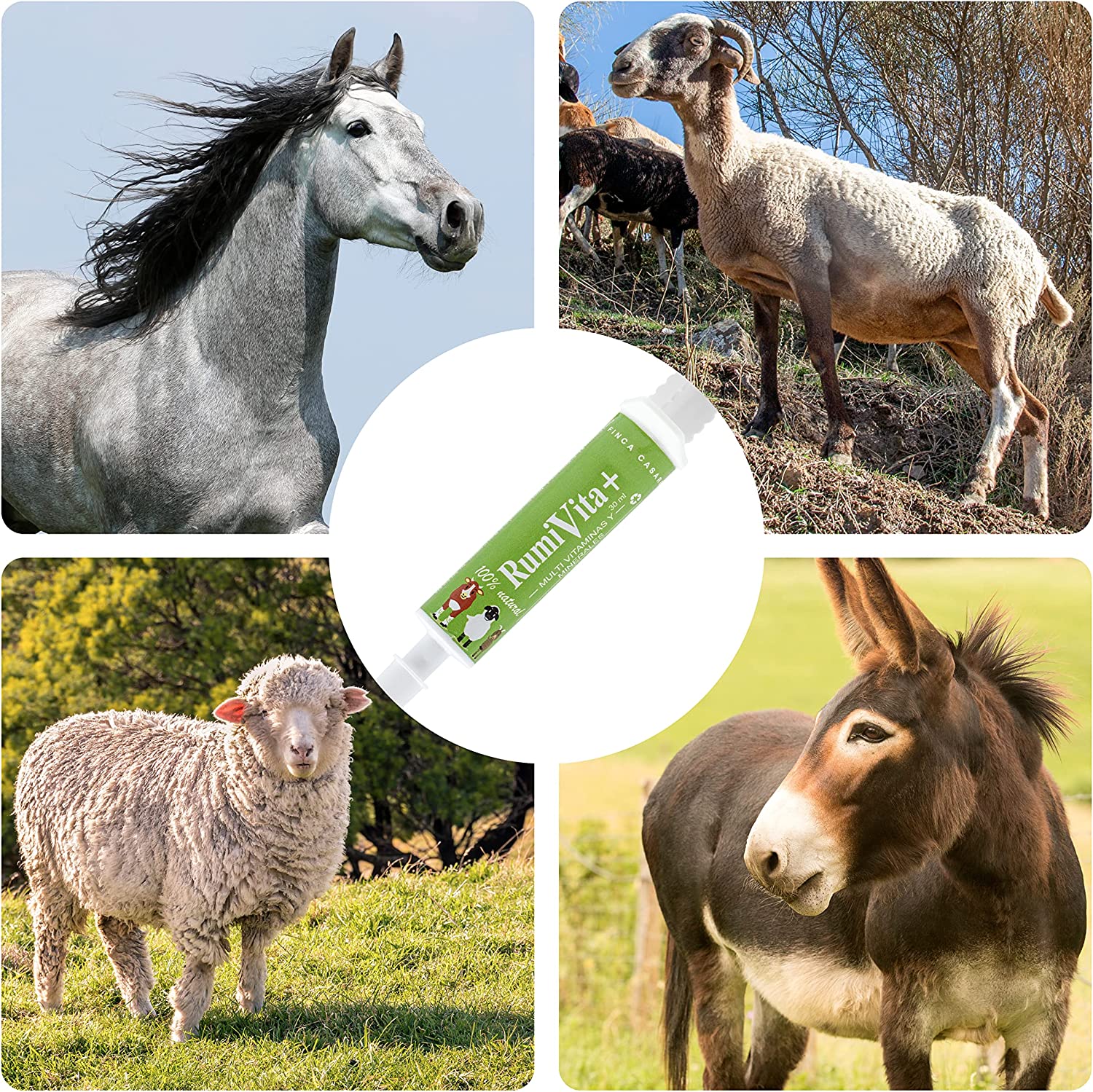 RumiVita – Complemento nutricional en pasta para cabras y ovejas – Apoyo vitamínico-mineral – Formato jeringa oral 30 ml_3