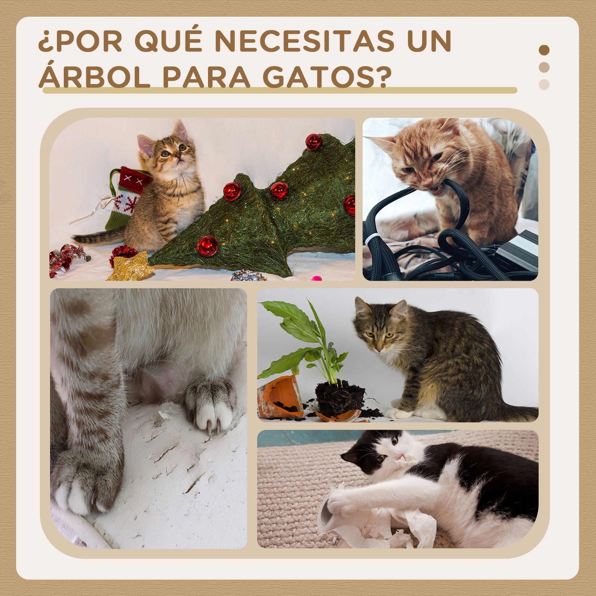 Pawhut Árbol Rascador Para Gatos Grande 61x49x160,5 Cm Múltiples Niveles Cueva_5