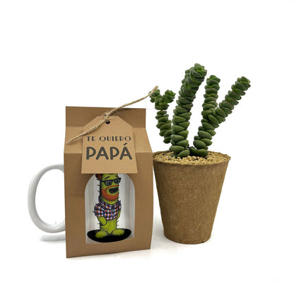 Pack Regalo Día Del Padre Taza Padresucu + Planta_0