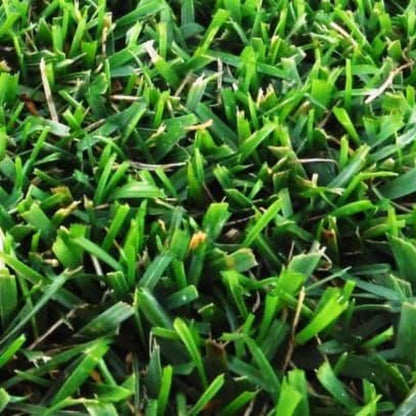 Semillas Para Césped Especializadas Por Uso Y Zona Saco 5 Kg (150 M2) / Regenerator_1