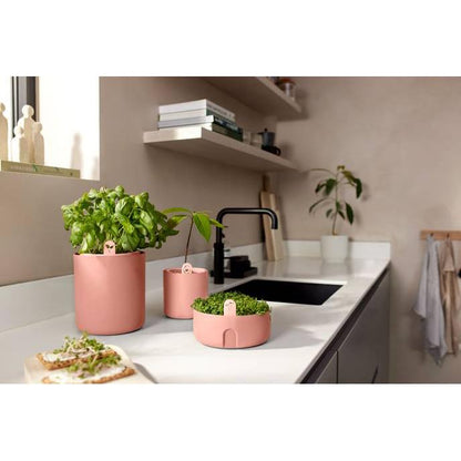 Maceta germinadora de aguacates Amazing Avocado Elho Terra