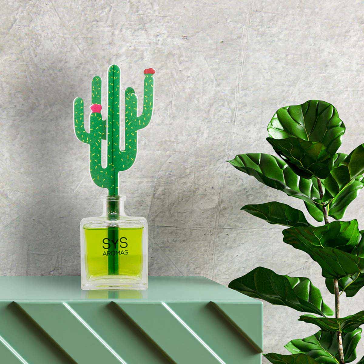 Ambientador Difusor Cactus Raíz Angélica Deco Diffuser SYS Aromas 90 ml | Aroma Herbal y Balsámico | Refrescante_1