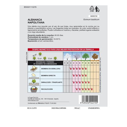 Semillas Aromáticas Albahaca Gigante (5 Gramos) Horticultura, Horticola, Semillas Huerto._1