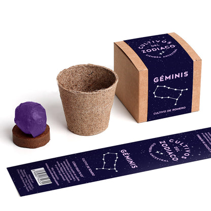Cultivos Del Zodiaco – Géminis | Kit De Cultivo Con Semillas De Romero_1