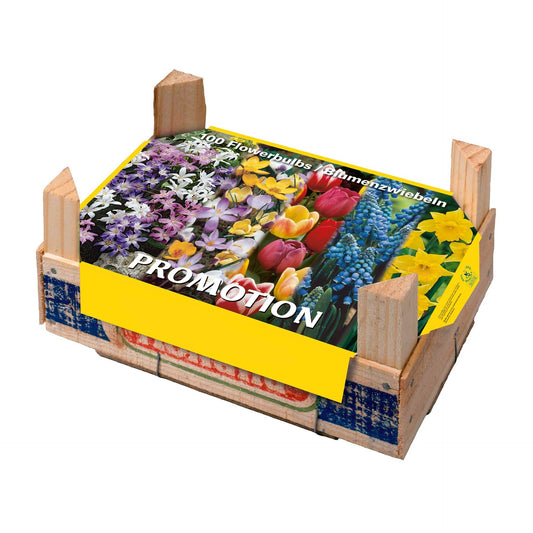 Caja Tray Mix Bulbos Otoño 100 uds
