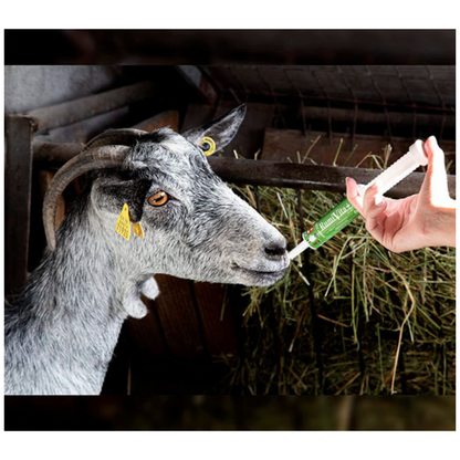 RumiVita – Complemento nutricional en pasta para cabras y ovejas – Apoyo vitamínico-mineral – Formato jeringa oral 30 ml_2