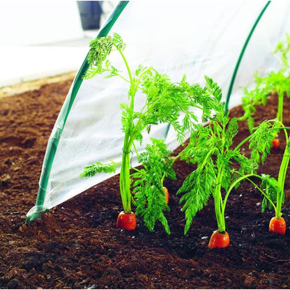 Film de cultivo verduras tempranas Climafilm Nortene 2 x 5 m
