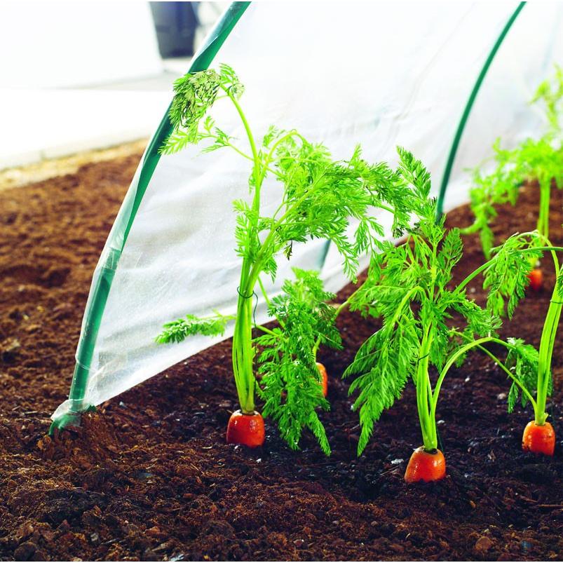 Film de cultivo verduras tempranas Climafilm Nortene 2 x 10 m
