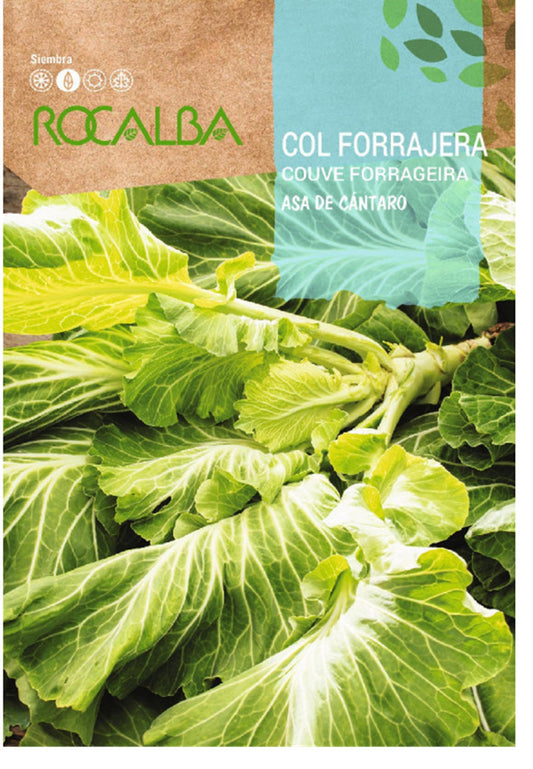 Semillas Col Forrajera Asa De Cantaro 25g_0