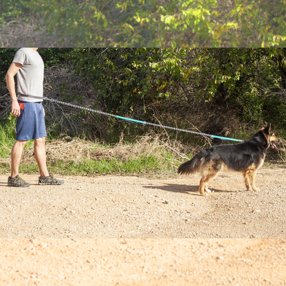 Correa Ajustable Para Perros De Jogging 160-220 Cm. Correa Manos Libres Elástica Y Reflectante Con Cinturón_4