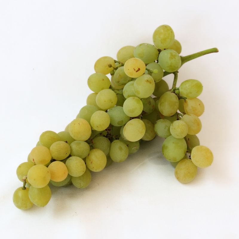 Uvas Moscatel De La Axarquía 1/2 Kg_1
