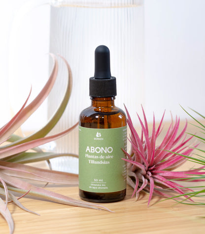 Abono Para Planta De Aire Tillandsia 50 ml_1