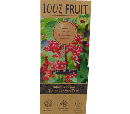Grosella Jonkheer Van Tets M15