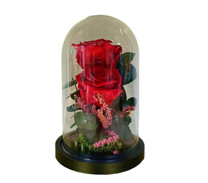 Cúpula 2 Rosas Rojo 12x20cm_0