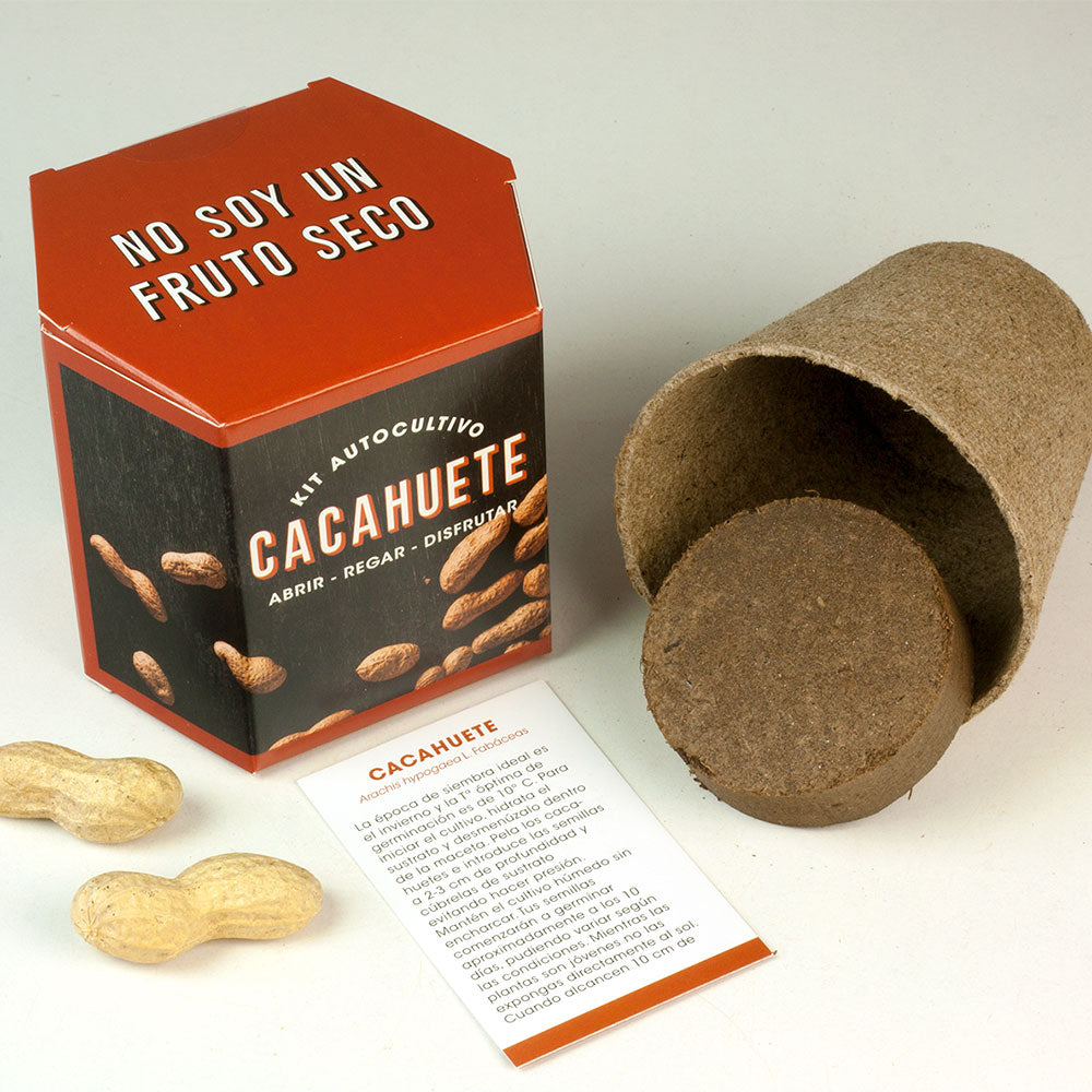Kit Autocultivo Cacahuete | Cultiva Tus Propios Peanuts En Casa | Regalo Divertido Y Original_1