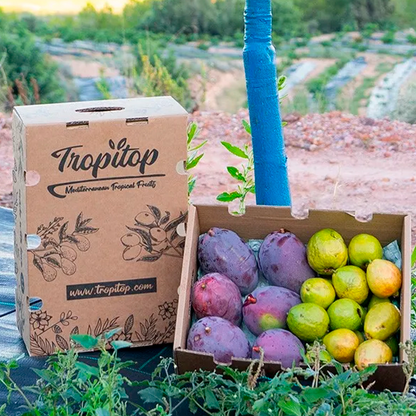 Caja 4kg Mix Guayabas Y Mangos Tropitop (2kg De Cada Fruta)