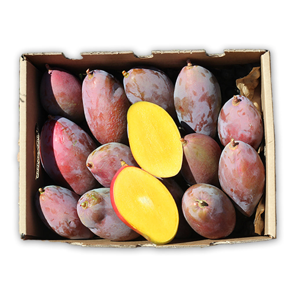 Mangos Ecológico Osteen Caja De 2kg