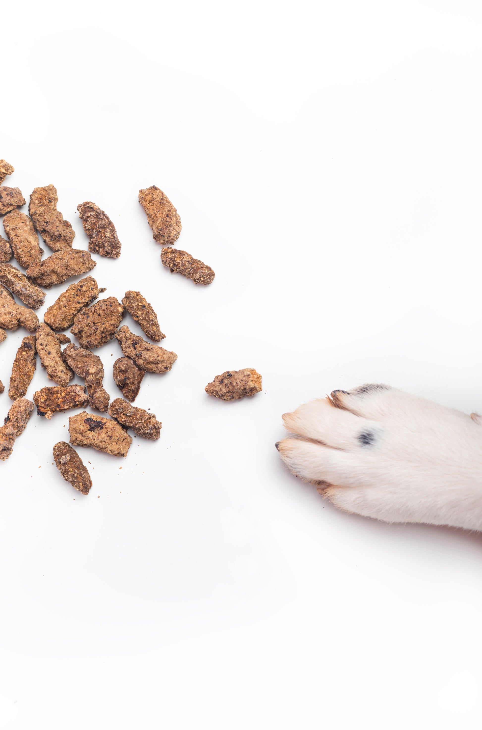Bimordiscos Bocaditos De Jabalí Para Perros Y Gatos · 500g. 500g_2
