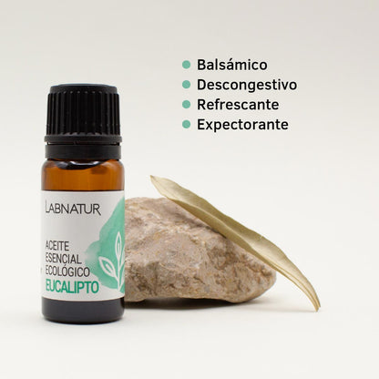 Aceite de Eucalipto Puro 10 ml | Refrescante y Purificante | Aromaterapia y Bienestar_4