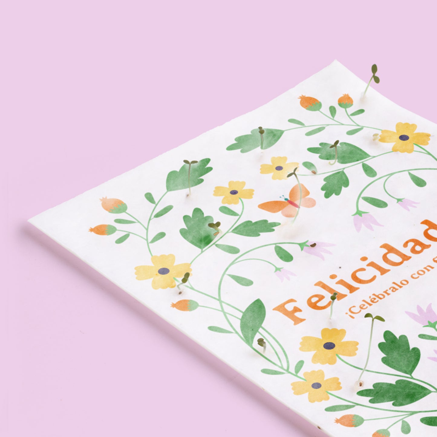 Postal Plantable Felicidades Con Semillas De Flores – Tarjeta Que Florece, Regalo Especial Con Significado | Resetea_2