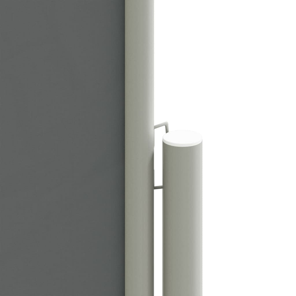 Vidaxl Toldo Lateral Retráctil Antracita 140x1200 Cm_3