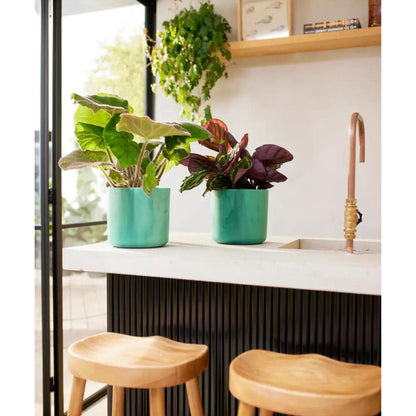 Macetero reciclado Ocean Round Elho verde pacífico 14 cm