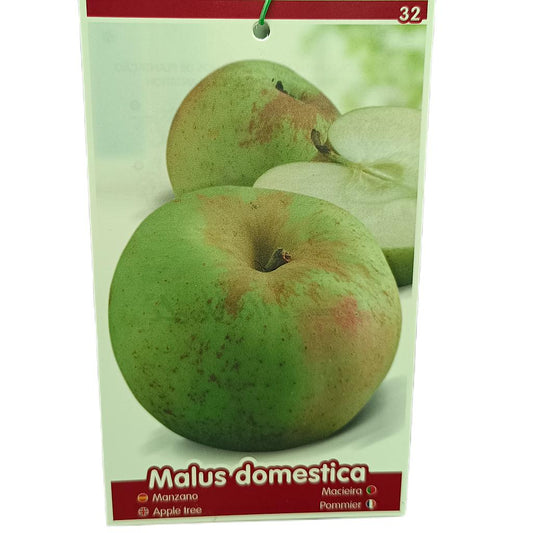 Manzano Verde Doncella M25_0