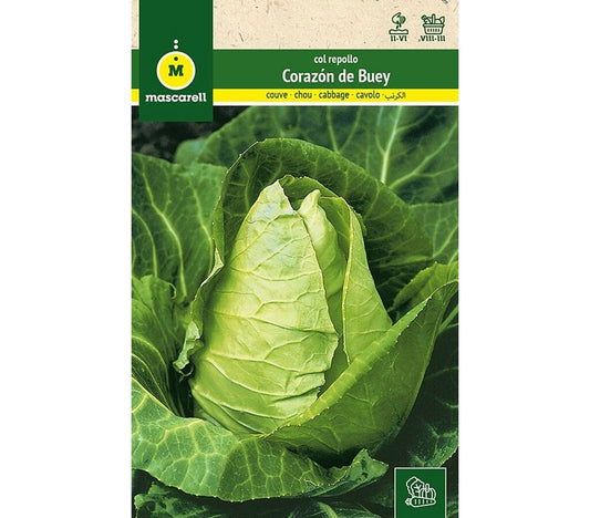 Semillas Col Repollo Corazón De Buey_0