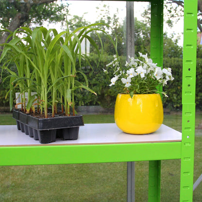 Invernadero Politúnel Con Estantería Galvanizada De Jardín Carpa De Cultivo 19mm 2 X 2.5m_3