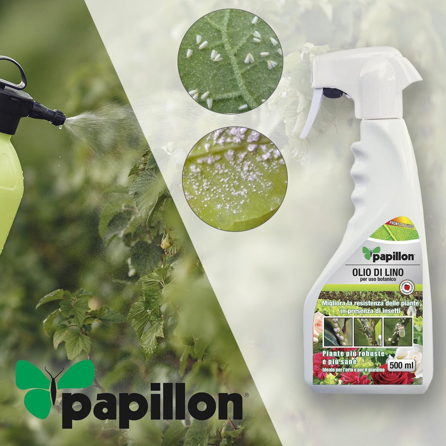 Aceite De Linaza Para Pulgon Cochinilla.500 Ml_1