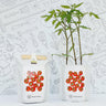 Kit huerto pocket: Tomate cherry