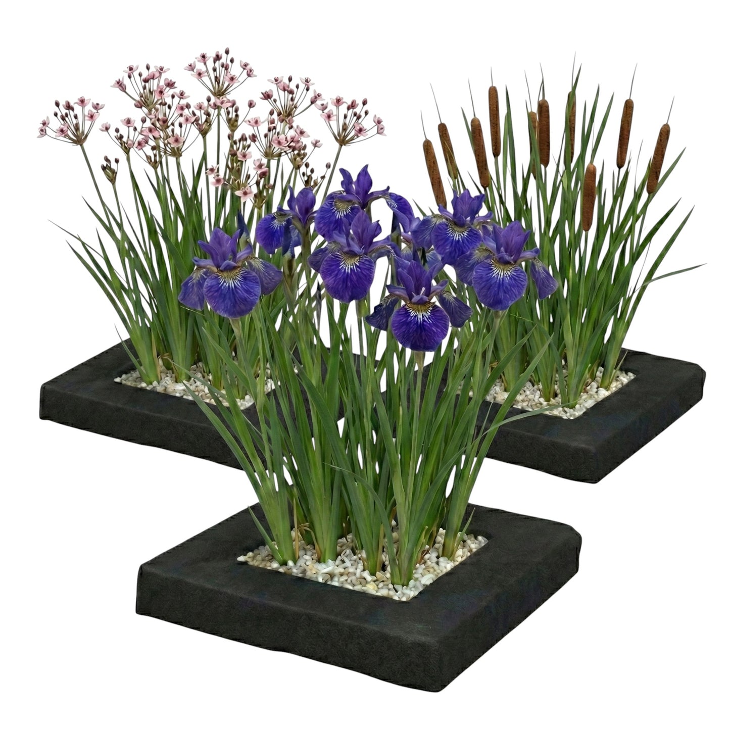 Set Isla De Plantas Estanque 3 Piezas - Set Completo Con 12 Plantas_0
