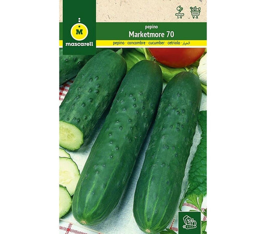Semillas Pepino (supermarketer)
